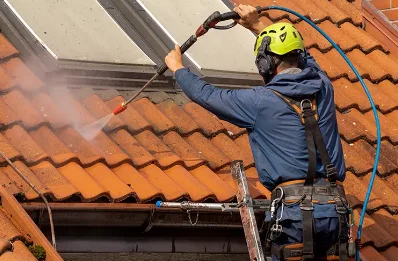 Démoussage et hydrofuge de toiture à Vescovato